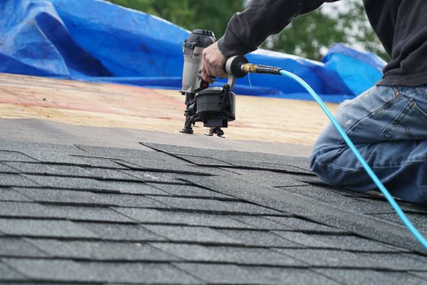 Best Storm Damage Roof Repair  in Morenci, AZ