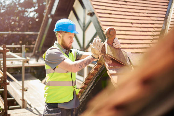 Best Roof Gutter Cleaning  in Morenci, AZ